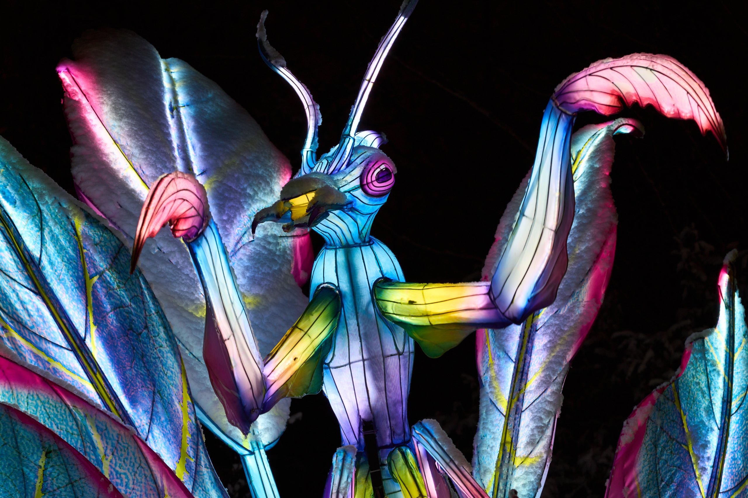 2026 01 05 China Lights 0050